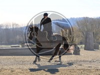 ref. photo 4014933