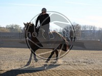 ref. photo 4014934