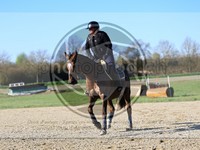 ref. photo 4014938