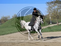 ref. photo 4014941