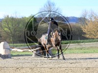 ref. photo 4014944
