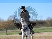 ref. photo 4014949