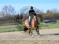 ref. photo 4014952