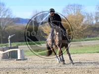 ref. photo 4014954