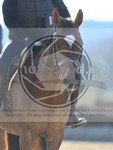 ref. photo 4014968