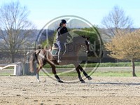 ref. photo 4014972