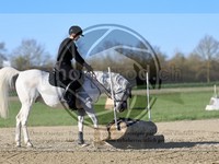 ref. photo 4014982