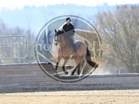 ref. photo 4014987