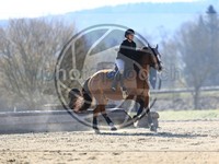 ref. photo 4014989