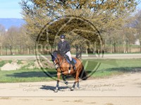 ref. photo 4014995