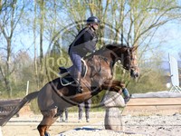 ref. photo 4015002