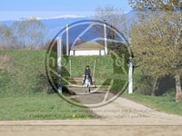 ref. photo 4015005