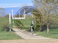 ref. photo 4015007