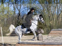 ref. photo 4015010