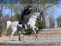 ref. photo 4015011