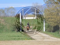 ref. photo 4015012