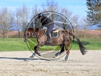 ref. photo 4015022