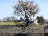 ref. photo 4015023
