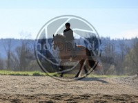ref. photo 4015025