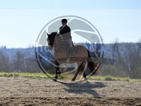 ref. photo 4015026