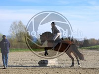 ref. photo 4015027