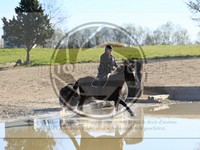 ref. photo 4015033