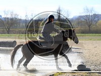 ref. photo 4015036
