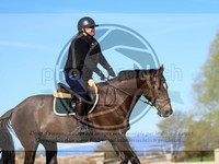 ref. photo 4015039