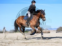 ref. photo 4015045