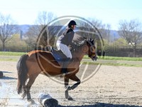 ref. photo 4015050