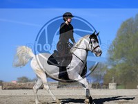 ref. photo 4015055