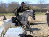 ref. photo 4015059