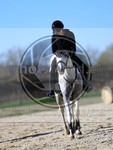 ref. photo 4015061