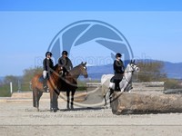 ref. photo 4015064