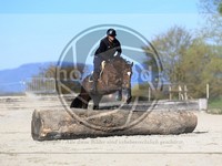 ref. photo 4015068