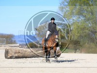 ref. photo 4015078