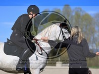 ref. photo 4015094