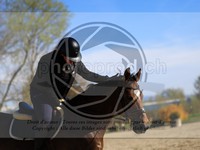 ref. photo 4015101