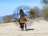 ref. photo 4015114
