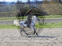 ref. photo 4015120
