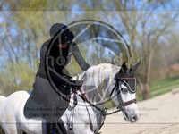 ref. photo 4015126