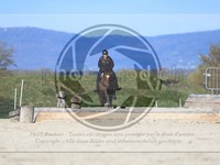 ref. photo 4015127