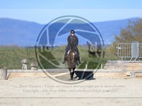 ref. photo 4015128