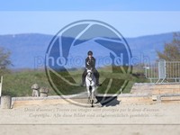 ref. photo 4015137