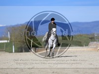 ref. photo 4015139