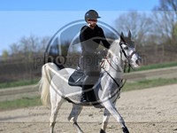ref. photo 4015145