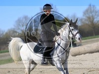 ref. photo 4015146