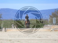 ref. photo 4015147