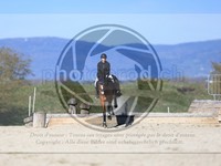 ref. photo 4015148