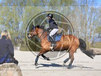 ref. photo 4015158